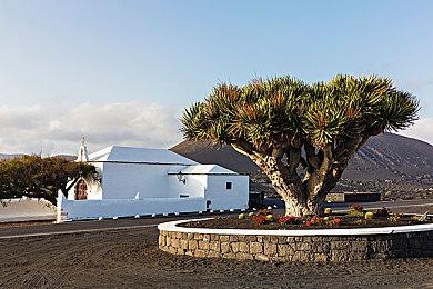 《无主之地4》武器系统获新改动 加入三大武器制造商