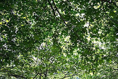 《魔女之泉3 Re：Fine》年内登陆Steam 支持中文