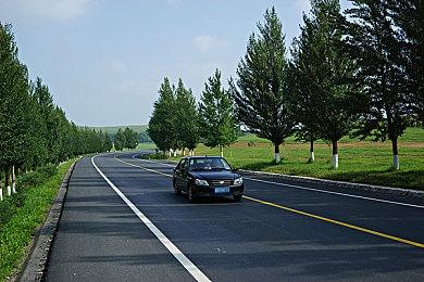 《超级马里奥兄弟：惊奇》正式发售 上市宣传片赏